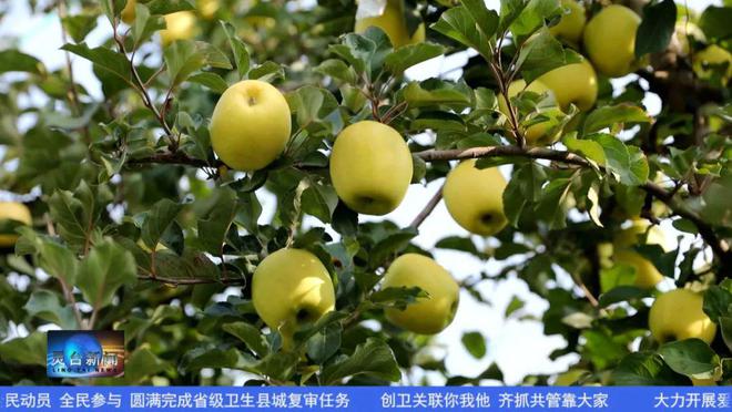 富士可以拍新闻照片吗苹果富士18120镜头照片拍摄效果怎么样-第2张图片-太平洋在线下载