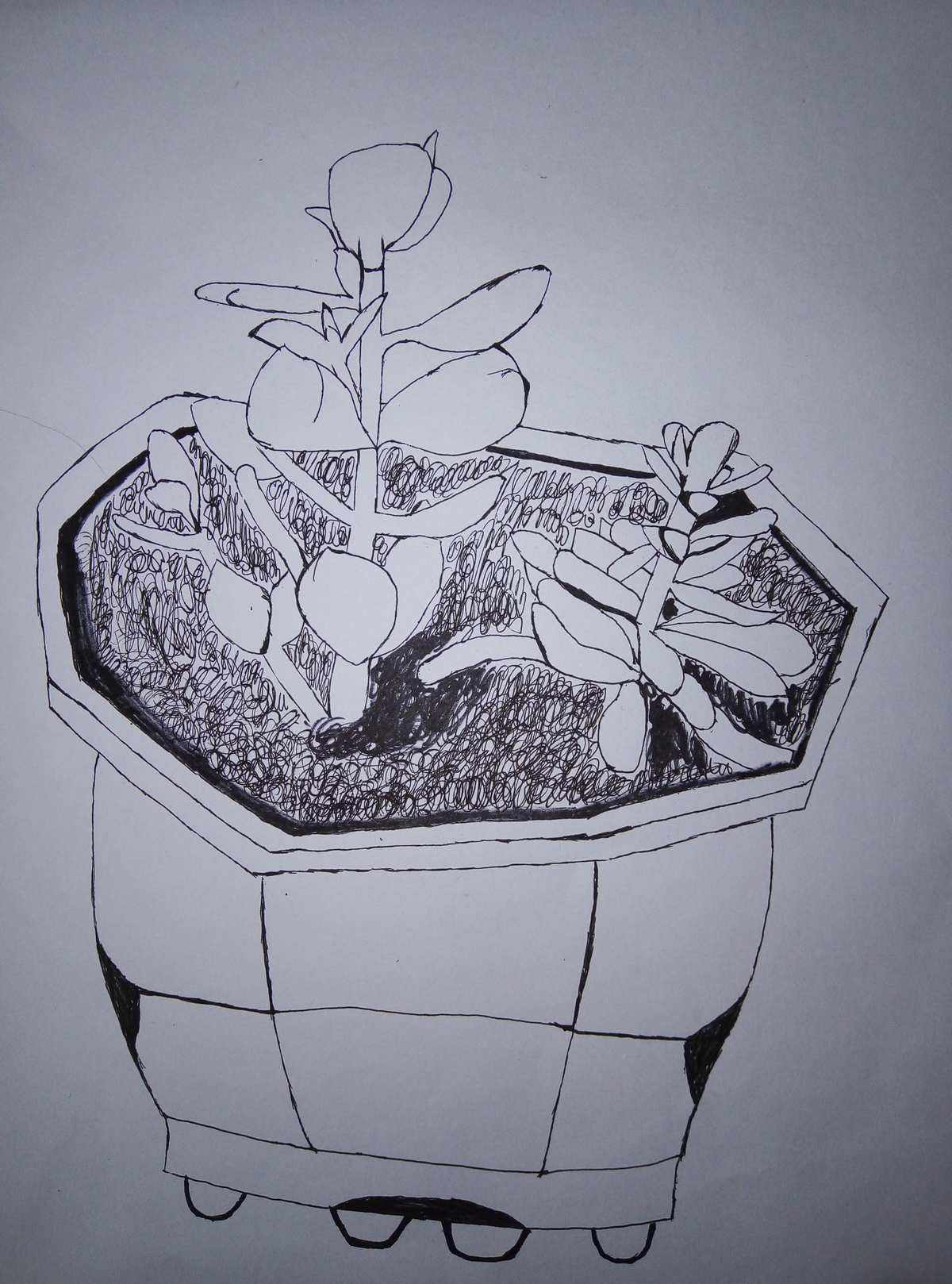 红苹果图片素描版红色传奇绘画图片大全素描