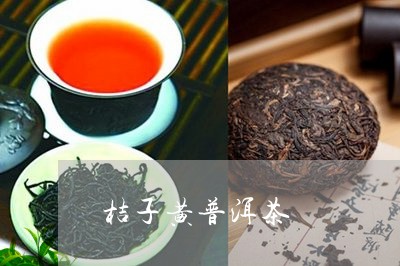 下载茶视频大全苹果版正宗的茶应该怎么泡视频-第2张图片-太平洋在线下载