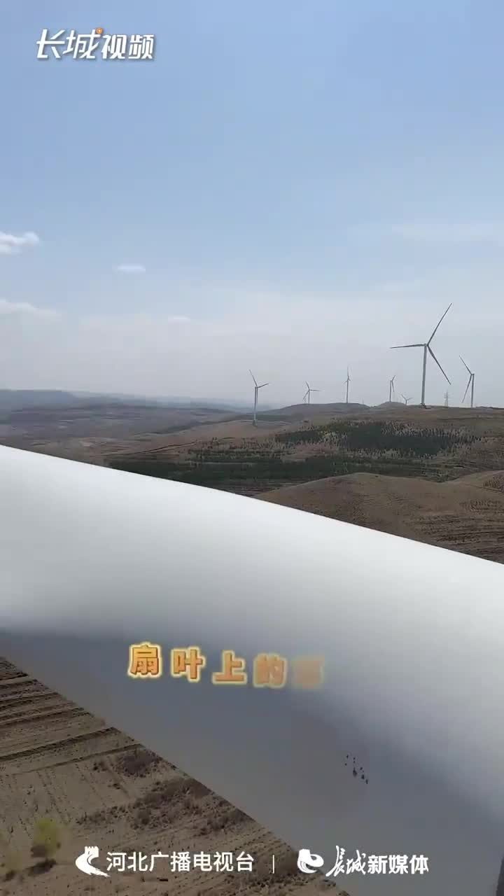 新闻联播手机摄影新闻联播今天直播回放