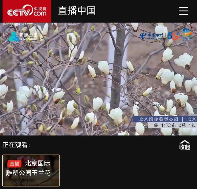 苹果平板上怎么看新闻联播直播的简单介绍-第2张图片-太平洋在线下载