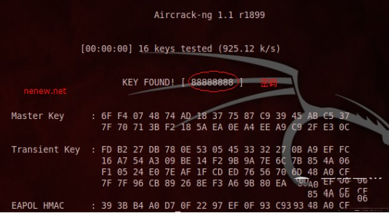 bt5手机版破解wifi手机1分钟破解wifi密码-第2张图片-太平洋在线下载