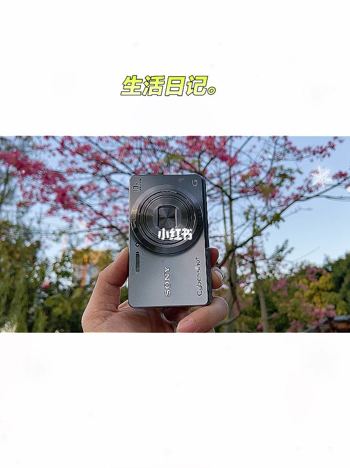 遇见相机苹果版fomz相机下载苹果版