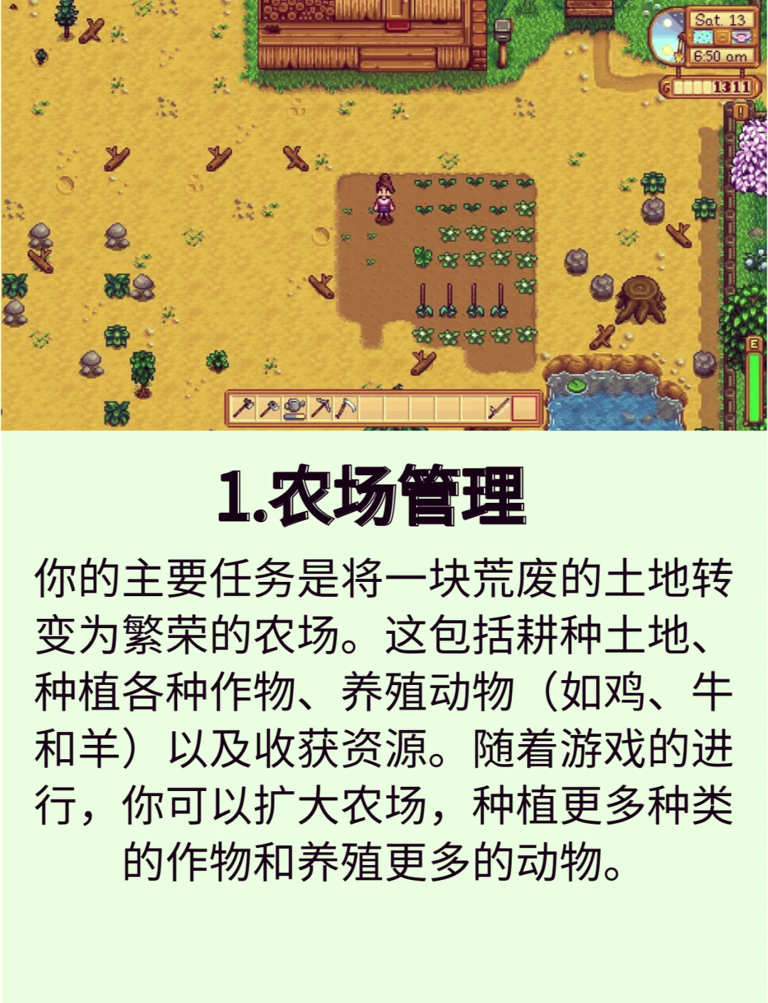 安卓版墓场物语农场牧场物语矿石镇的伙伴们电脑版下载-第2张图片-太平洋在线下载