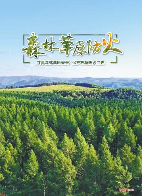 森林正在重启客户端森林一直在启动客户端-第2张图片-太平洋在线下载