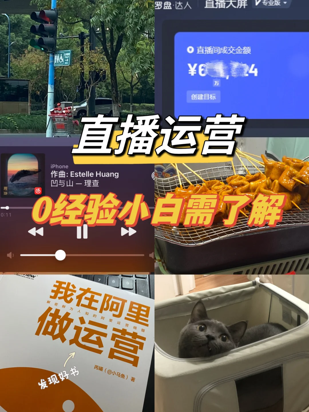 九五直播苹果版9球直播app苹果版为啥找不到