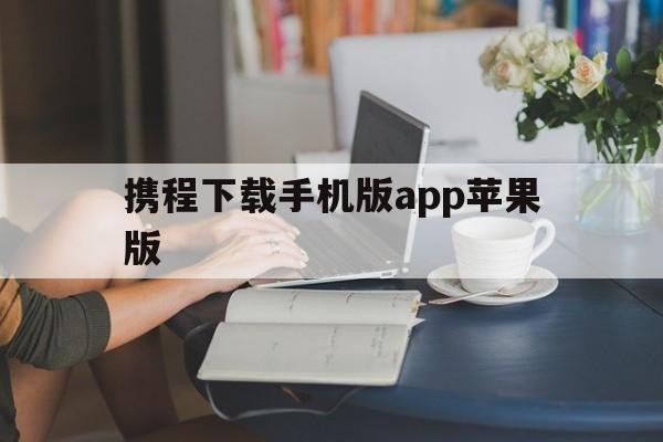 携程下载手机版app苹果版(携程app下载手机客户端下载)-第3张图片-有道翻译官网