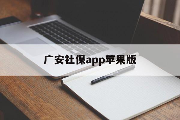广安社保app苹果版(广安12333社保查询网)-第4张图片-有道翻译官网