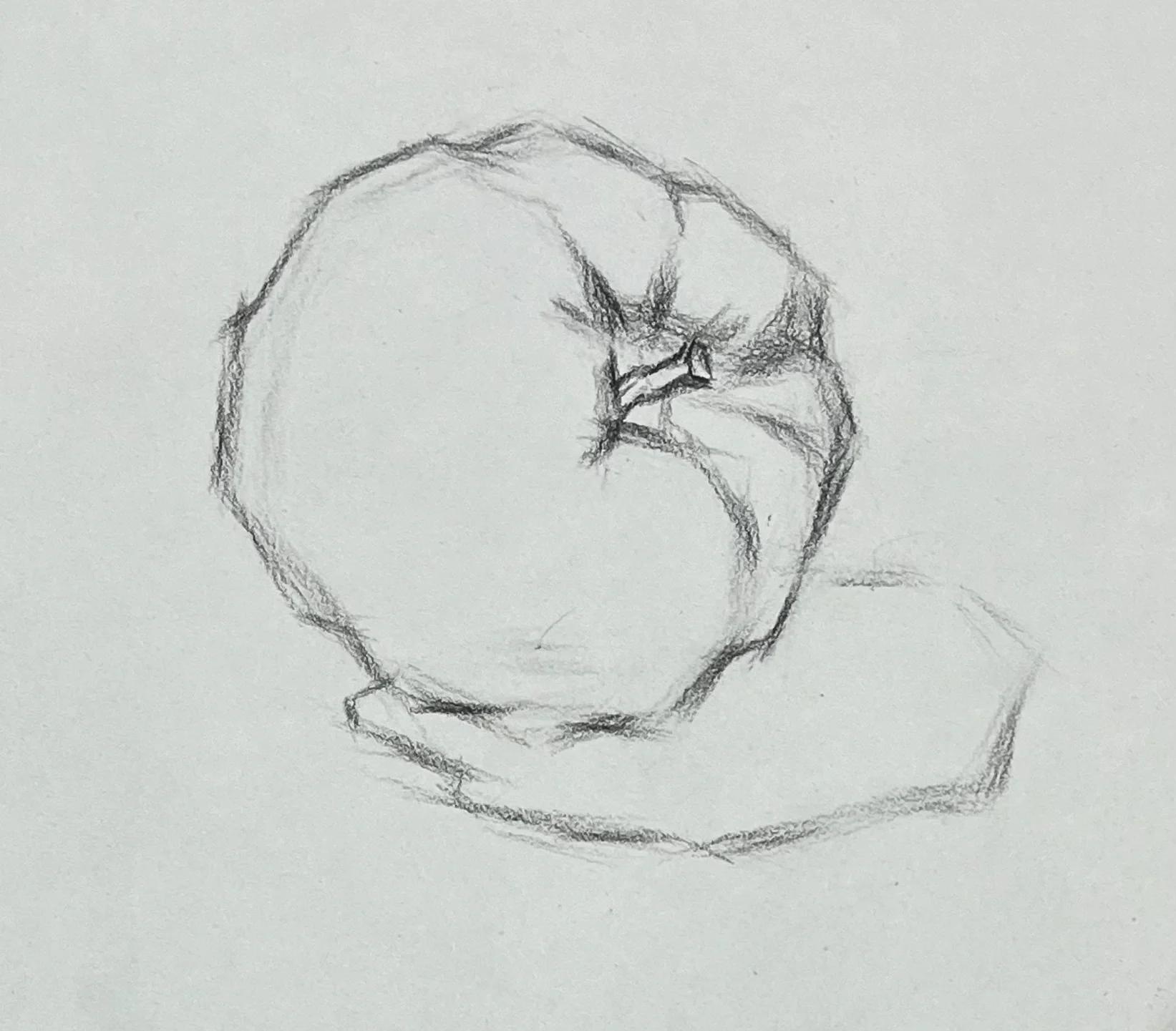 怎么挂素描苹果版(素描怎么画苹果新手)-第15张图片-有道翻译官网