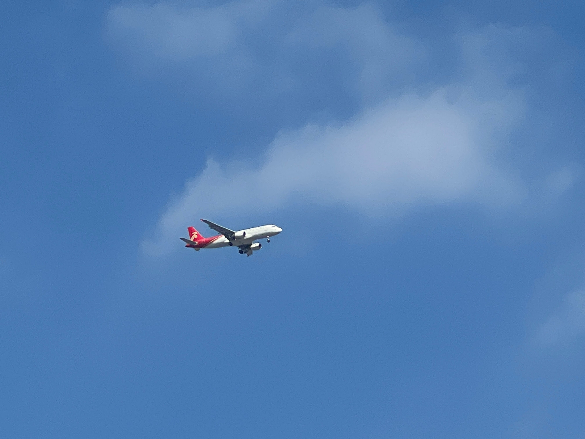 飞机下载最新苹果版(飞机app苹果中文版)-第4张图片-有道翻译官网